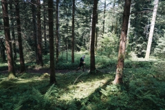 DSA_TRAIL-DU-SAUT-DU-DOUBS_24-mai-2025_┬®PierreGouineau_0942