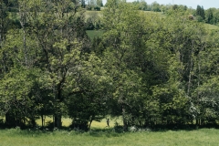 DSA_TRAIL-DU-SAUT-DU-DOUBS_24-mai-2025_┬®PierreGouineau_1298