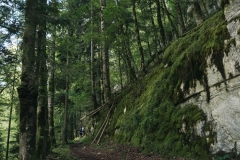 DSA_TRAIL-DU-SAUT-DU-DOUBS_24-mai-2025_┬®PierreGouineau_1579