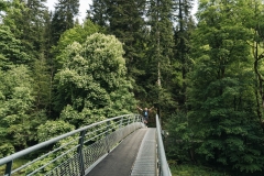 DSA_TRAIL-DU-SAUT-DU-DOUBS_24-mai-2025_┬®PierreGouineau_2431-2