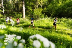Séléction_HD-Trail-du-Saut-du-Doubs-Hugo_DEFORET-36