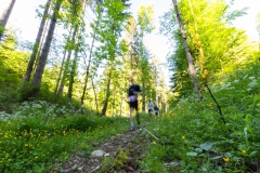 Séléction_HD-Trail-du-Saut-du-Doubs-Hugo_DEFORET-39