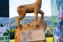 Séléction_HD-Trail-du-Saut-du-Doubs-Hugo_DEFORET-9